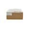 Stout By Envision Retail Thank You TShirt Style Bags115x65x22 Case of 1000 bags, 1000PK TSB-12722TY - alternate 3